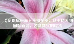 《凤凰早班车》主播全荃：从主持人到国际新闻，名副其实的吃货