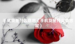 手机贷是什么意思（手机贷是什么意思呢）