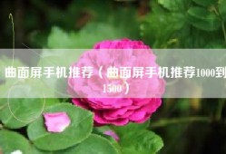 曲面屏手机推荐（曲面屏手机推荐1000到1500）