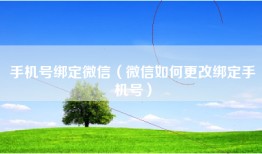 手机号绑定微信（微信如何更改绑定手机号）