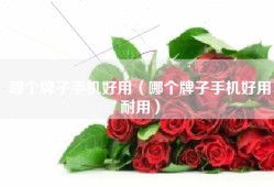 哪个牌子手机好用（哪个牌子手机好用耐用）
