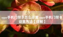 oppo手机门禁卡怎么设置 oppo手机门禁卡设置方法【详解】