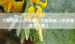 万能钥匙wifi手机版(万能钥匙wifi手机版官方下载)