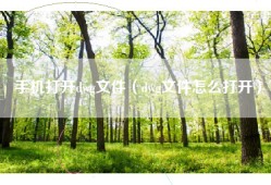 手机打开dwg文件（dwg文件怎么打开）