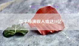 饺子导演收入或达10亿