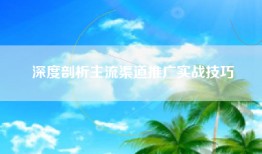 深度剖析主流渠道推广实战技巧