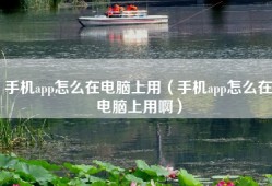 手机app怎么在电脑上用（手机app怎么在电脑上用啊）