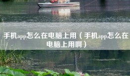 手机app怎么在电脑上用(手机app怎么在电脑上用啊)