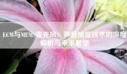 ECM与MEMS麦克风：声音捕捉技术的深度解析与未来展望