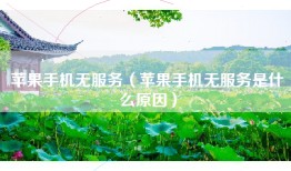 苹果手机无服务（苹果手机无服务是什么原因）