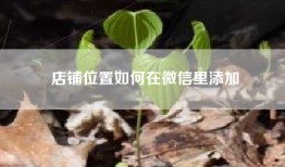 店铺位置如何在微信里添加