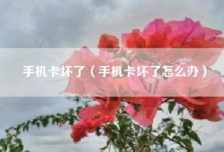 手机卡坏了（手机卡坏了怎么办）