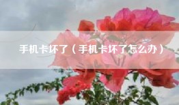 手机卡坏了（手机卡坏了怎么办）