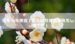 骁龙888处理器（骁龙888处理器和骁龙8gen1哪个好）