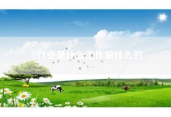 it行业是什么工作做什么的