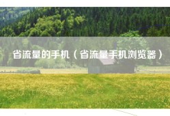 省流量的手机（省流量手机浏览器）