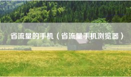 省流量的手机（省流量手机浏览器）