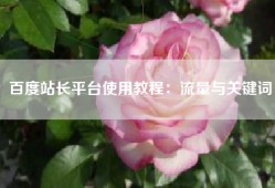 百度站长平台使用教程：流量与关键词