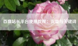 百度站长平台使用教程：流量与关键词