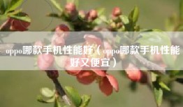 oppo哪款手机性能好（oppo哪款手机性能好又便宜）