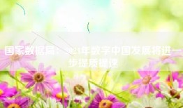国家数据局：2024年数字中国发展将进一步提质提速