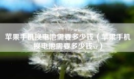 苹果手机换电池需要多少钱（苹果手机换电池需要多少钱xr）