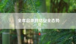 全年总体网络安全态势