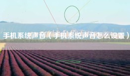 手机系统声音（手机系统声音怎么设置）