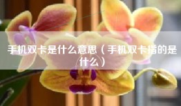 手机双卡是什么意思（手机双卡指的是什么）