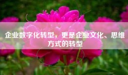 企业数字化转型，更是企业文化、思维方式的转型