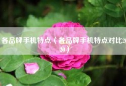 各品牌手机特点（各品牌手机特点对比2020）