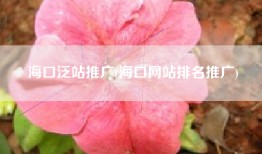 海口泛站推广(海口网站排名推广)
