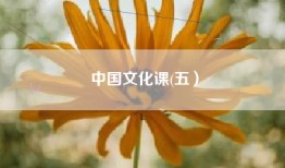 中国文化课(五）