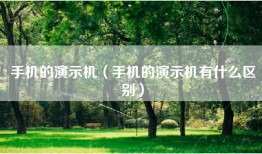 手机的演示机（手机的演示机有什么区别）