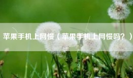 苹果手机上网慢（苹果手机上网慢吗？）