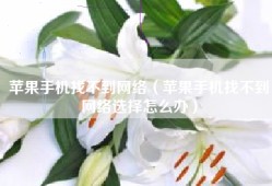 苹果手机找不到网络（苹果手机找不到网络选择怎么办）