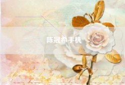 陈冠希手机