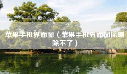 苹果手机界面图（苹果手机界面图标删除不了）