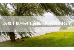 选择手机号码（选择手机号码的技巧）
