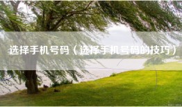 选择手机号码（选择手机号码的技巧）