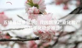 五经普结果显示：我国数字产业化和产业数字化稳步推进