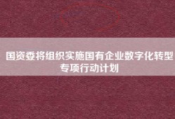 国资委将组织实施国有企业数字化转型专项行动计划