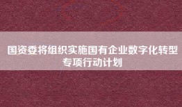 国资委将组织实施国有企业数字化转型专项行动计划