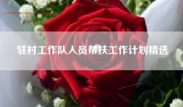 驻村工作队人员帮扶工作计划精选