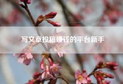 写文章投稿赚钱的平台新手