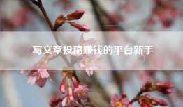 写文章投稿赚钱的平台新手