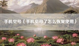 手机空号（手机空号了怎么恢复使用）