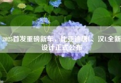 2025首发重磅新车，比亚迪唐L、汉L全新设计正式公布