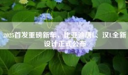 2025首发重磅新车，比亚迪唐L、汉L全新设计正式公布