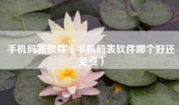 手机码表软件（手机码表软件哪个好还免费）